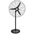 59804_1747209397i1cgam4a7e.png